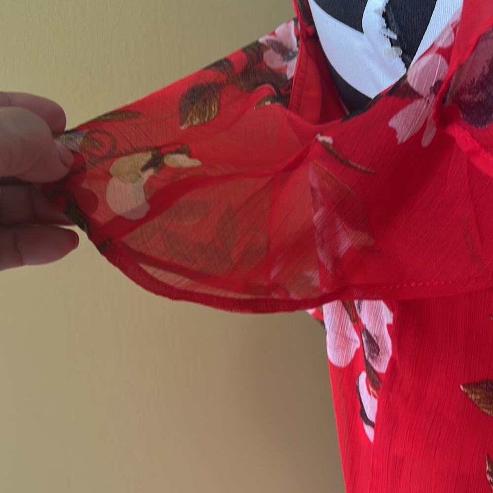 Taylor - Picture 4 of 11